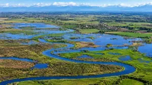 How Denmark restored 26 kilometres of the Skjern River and returned 2,200 hectares of farmland