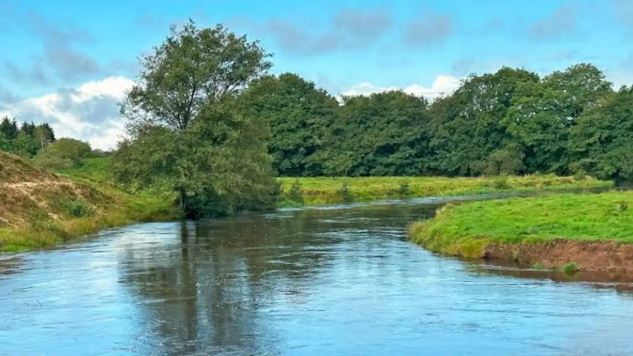 How Denmark restored 26 kilometres of the Skjern River and returned 2,200 hectares of farmland