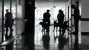 military working dogs are currently sourced from Europe, according: The wider industry impact