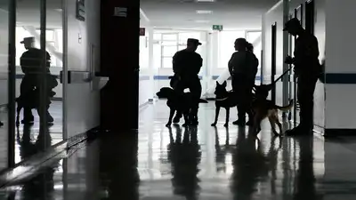 military working dogs are currently sourced from Europe, according: The wider industry impact