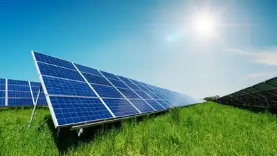 Changala leased 300 acres of his father’s 1,400-acre farm to solar: The wider industry impact