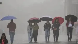 Weather tomorrow: IMD raises concerns over of heavy rain in south: The wider industry impact
