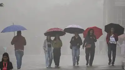 Weather tomorrow: IMD raises concerns over of heavy rain in south: The wider industry impact