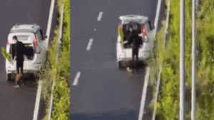 Man in WagonR with 'POLICE' sticker caught stealing plant from Delhi-Dehradun Expressway