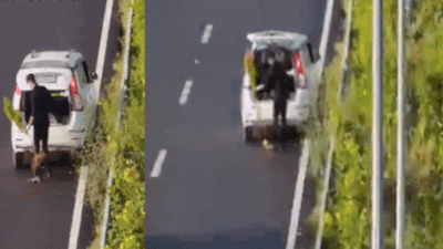 Man in WagonR with 'POLICE' sticker caught stealing plant from Delhi-Dehradun Expressway