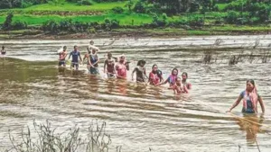 For Ramesh Mangalu Ijal, a resident of Khirpada hamlet in Nashik’s: The wider industry impact