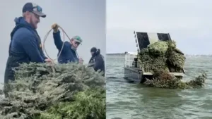 Biologists and technicians from the Texas Parks and Wildlife Department (TPWD) Inland Fisheries