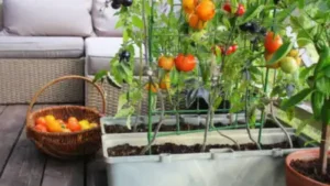 Which US state is easiest for gardening? Reddit users debate the best states to grow plants