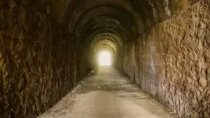 More than a century after the subway company bought and gutted it: The wider industry impact