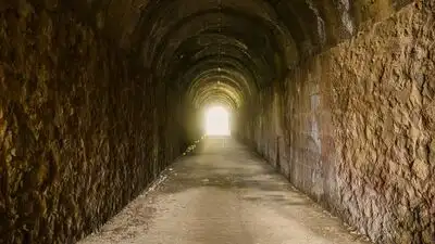 More than a century after the subway company bought and gutted it: The wider industry impact