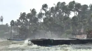 Idukki and Palakkad are under a red alert on October 26, according: The wider industry impact