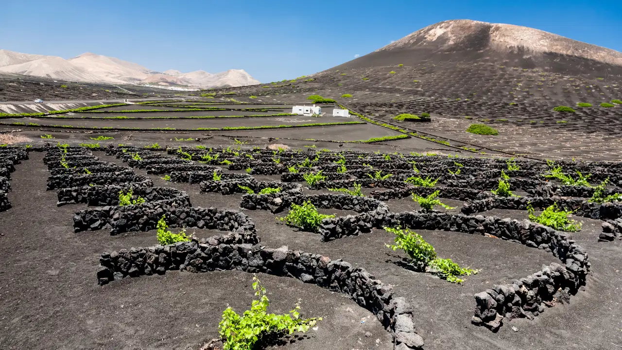 Rising above the Sicilian city of Catania, Mount Etna holds two formidable titles: it is