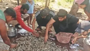 On Sunday morning, hundreds of dead and dying fish were found floating on the Kalu river