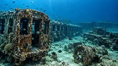 In 2008, Virginia sank 44 retired New York subway cars off: The wider industry impact