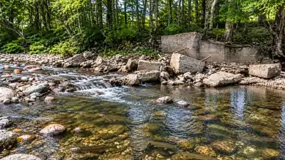 A Vermont dam built in the early 1900s to feed a private trout pond: The wider industry impact