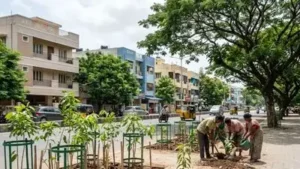Chennai's urban green policy aims for better tree coverage and maintenance across all city