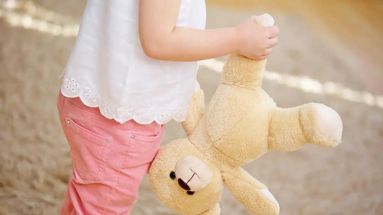 A child who carries the same toy from room to room may simply enjoy playing with it