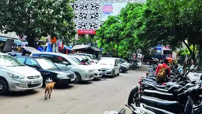 Figures from Delhi and Mumbai consistently show that pedestrians are: The wider industry impact