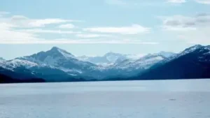In 1989, Exxon Valdez spilled 11 million gallons off Alaska; 15: The wider industry impact