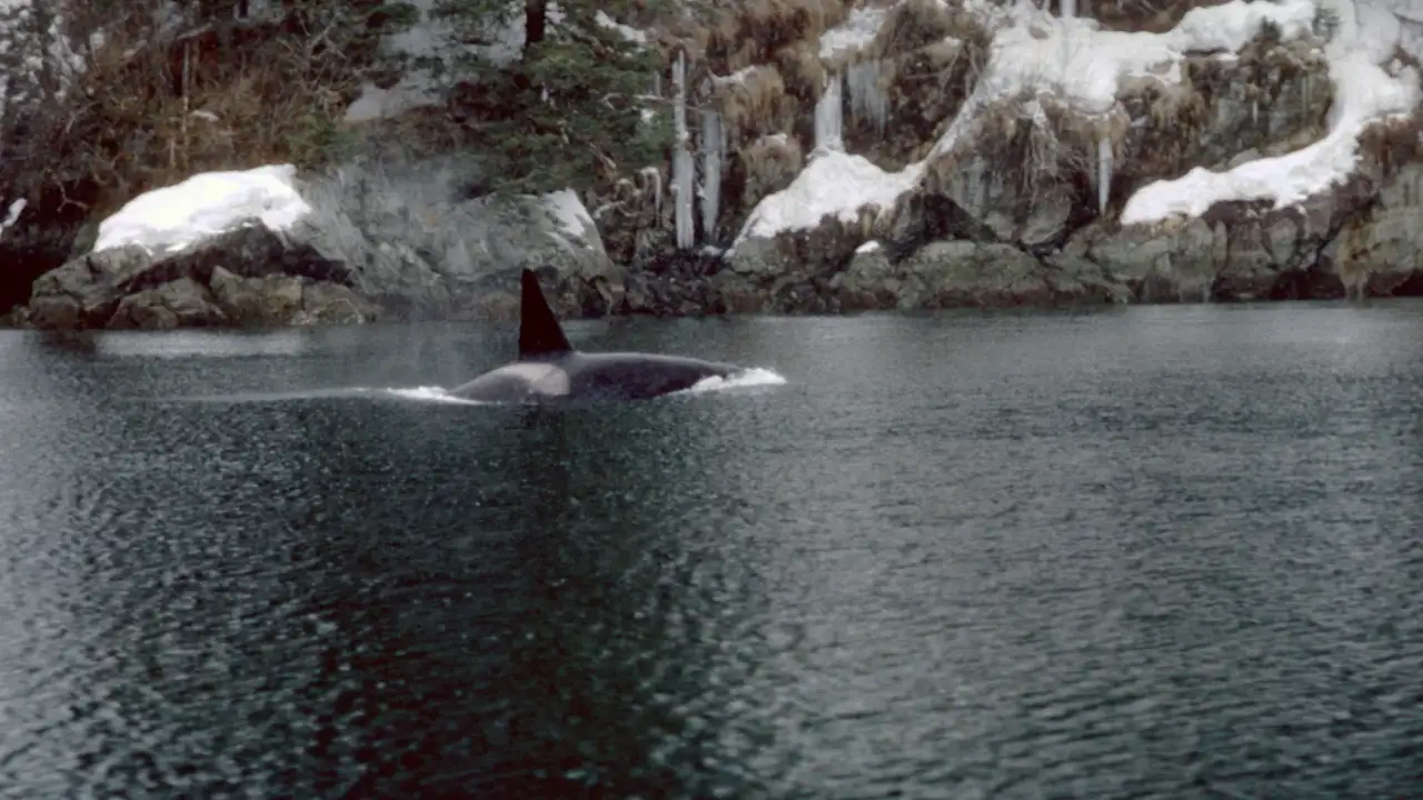In 1989, Exxon Valdez spilled 11 million gallons off Alaska; 15: The wider industry impact