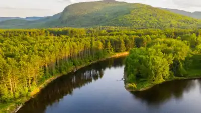 More than 27,000 acres of forestland in western Maine have been permanently protected