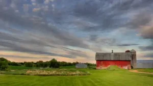 In 1982, a Minnesota farmer wrote a will leaving his 300-acre farm to his son after his wife's