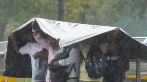 Tamil Nadu and Puducherry are likely to receive very heavy showers: The wider industry impact