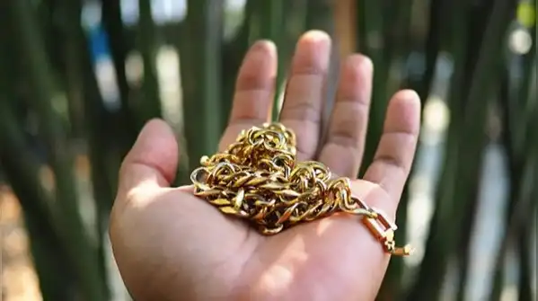 Your everyday gold chain and earrings do a lot of quiet work
