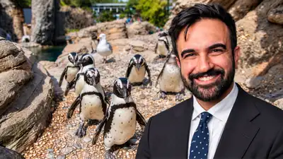 Zohran Mamdani announces $2 million investment in New York Aquarium: The wider industry impact