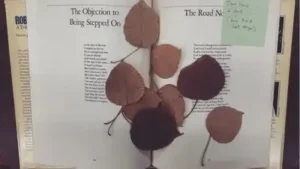 This teacher from Oklahoma City looks for forgotten mementos in used books and helps people reclaim