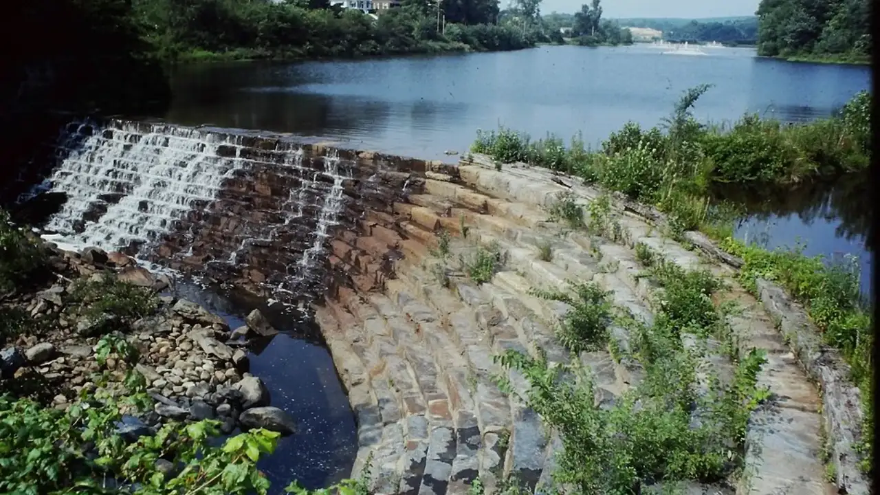 Virginia’s Little River Mill Dam, built between 1818 and 1834: The wider industry impact