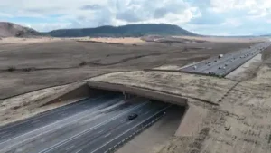 Colorado built a giant green bridge over a busy highway for animals: The wider industry impact