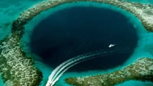 In 2017, after Cyclone Debbie damaged reefs, marine biologist Johnny: The wider industry impact