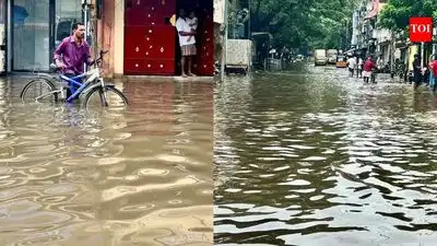 Heavy rain affected Chennai and nearby areas, prompting school: The wider industry impact