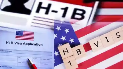 US suspends several technology firms from Green card program: The wider industry impact