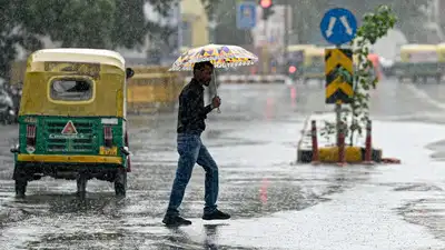 South India weather South India is likely to remain active: The wider industry impact