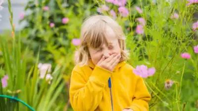 Childhood allergies rarely present as isolated issues