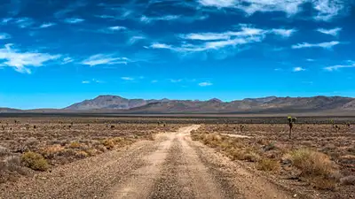 This is what happened with two young brothers who vanished into the Arizona desert, only to be