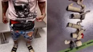 A Miami airport passenger had an 'unexplained bulge'; officers found 10 live birds hidden