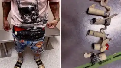 A Miami airport passenger had an 'unexplained bulge'; officers found 10 live birds hidden