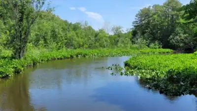 For more than 15 years, eight descendants negotiated the fate of inherited land along