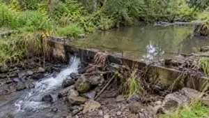 Oregon's 1989 dam diverted water to one landowner's pond; its 2020: The wider industry impact