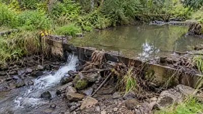 Oregon's 1989 dam diverted water to one landowner's pond; its 2020: The wider industry impact