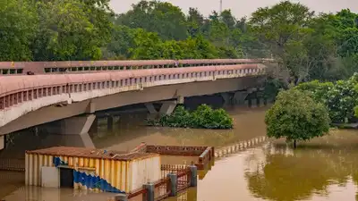 Plan for 'shadow roads' linking parks, green spaces for pedestrians in Delhi