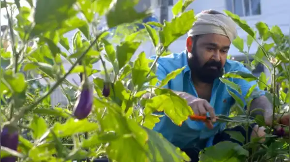 The practical garden idea behind growing what you actually eat — Mohanlal grows bitter gourd, okra