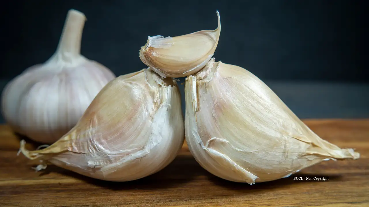 Which type of garlic has the highest amount of allicin?