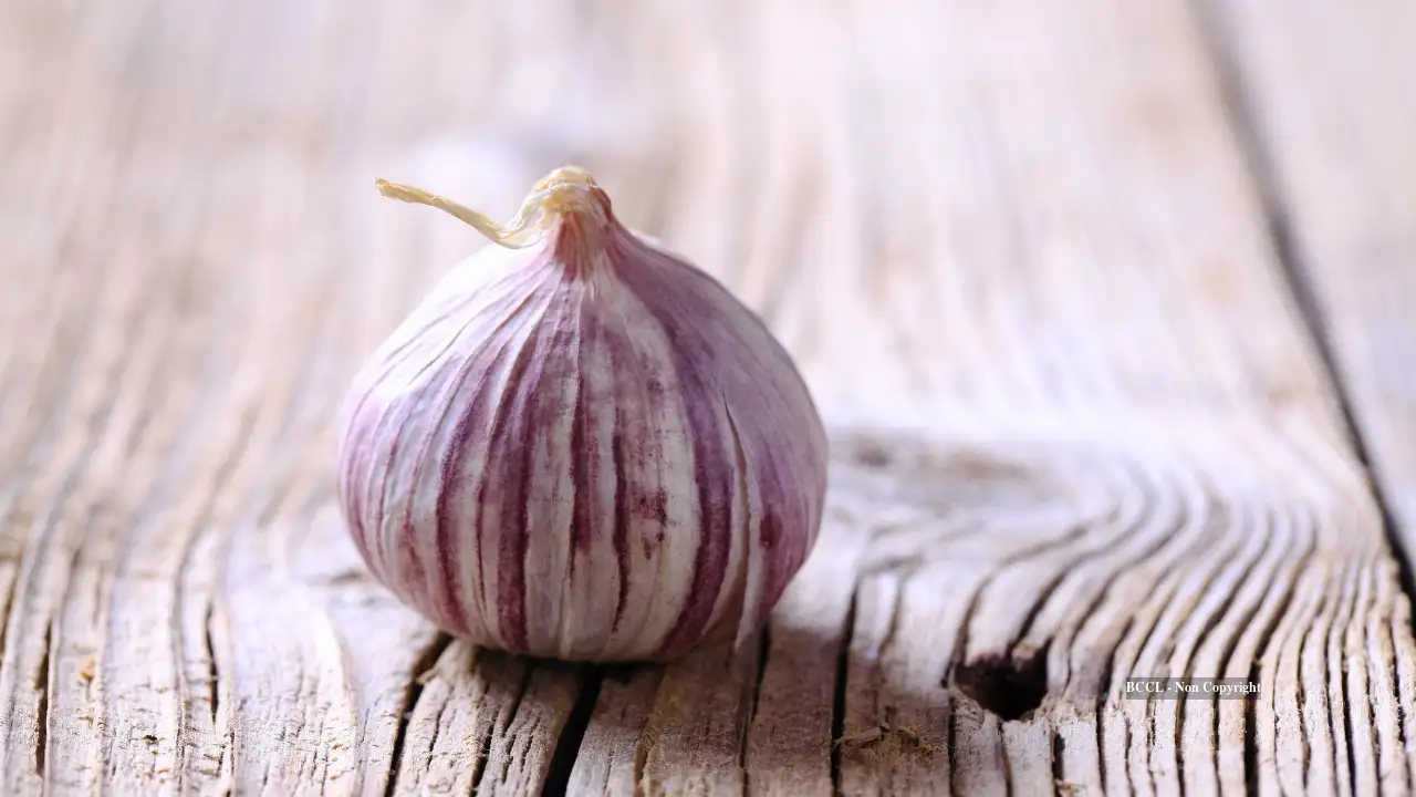 Which type of garlic has the highest amount of allicin?