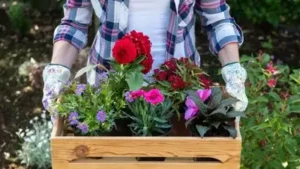 Why doctors in Madrid are prescribing gardening sessions for stressed patients — Gardening as