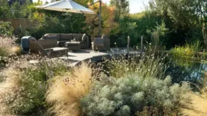 At the heart of the garden sits an unheated natural swimming pool: The wider industry impact