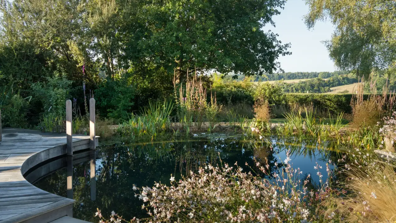 At the heart of the garden sits an unheated natural swimming pool: The wider industry impact